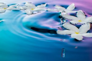 三十六歌仙（さんじゅうろっかせん）