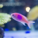 国語の鍛錬　４－７　同じ読み方をする漢字