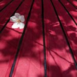 国語の鍛錬　５－６　いるいらない論文