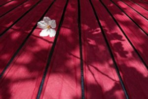 国語の鍛錬　５－２　三字以上の熟語　