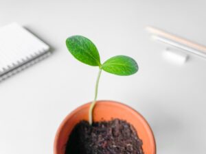 『あがっちゃうワーク』で国語のテストがあがっちゃう仕組みを詳しくご説明いたします。