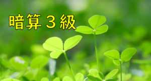 【全珠連暗算検定練習プリント】暗算３級　１２回分