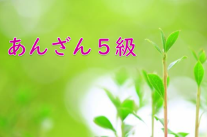 【全珠連暗算検定練習プリント】暗算５級　１２回分